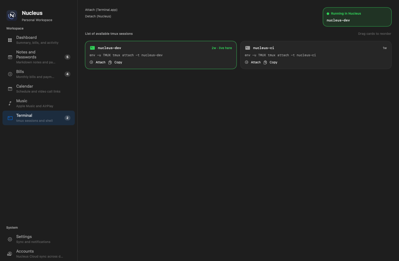 Nucleus Terminal workspace with draggable tmux session cards